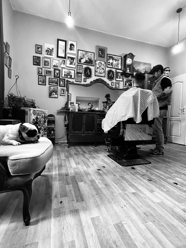 cozy barbershop with a french bulldog
